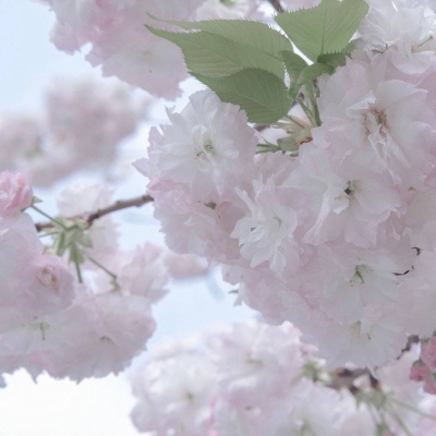 灌南FurryQQ群介绍